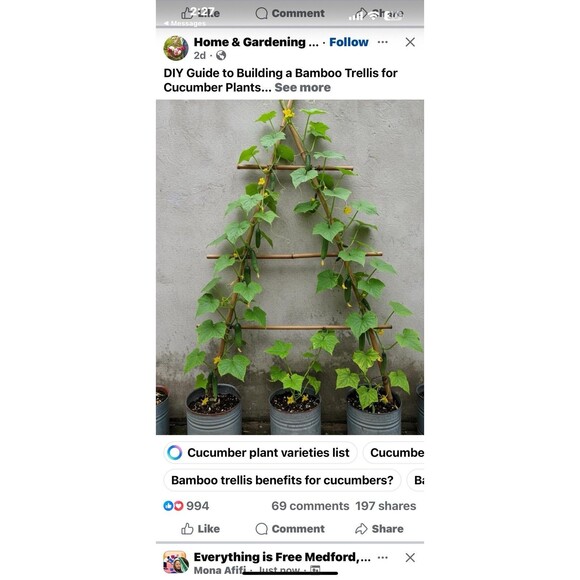 Home Essential & Beyond Red Gold Glass Tumblers Set of 6 Turkish Tea/ Juice 4 oz - Picture 7 of 13